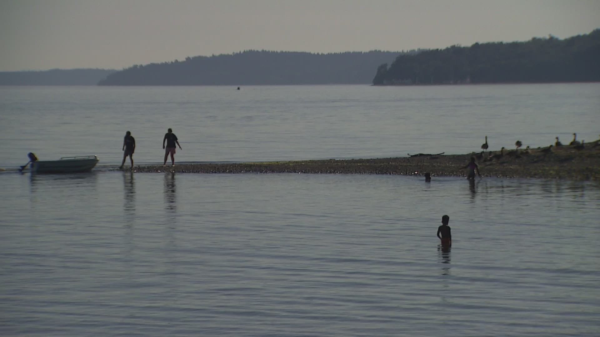 Last week's heatwave is history, but it's still causing problems at several beaches, where it's not safe to swim because of high bacteria levels.