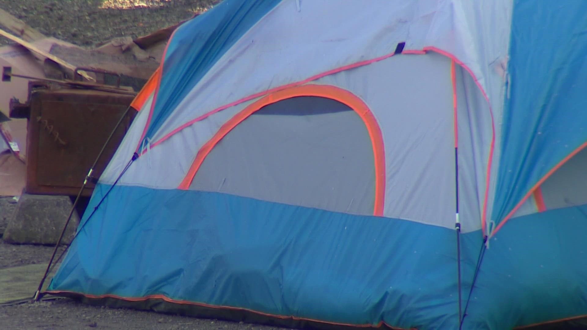 The charter amendment would require the city of Seattle to clear encampments from parks once new permanent housing and homelessness resources were in place.