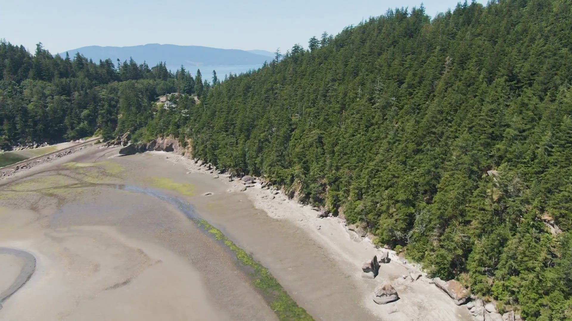 The development would sit atop Bellingham's Mud Bay Cliffs, part of an intricate ecosystem.