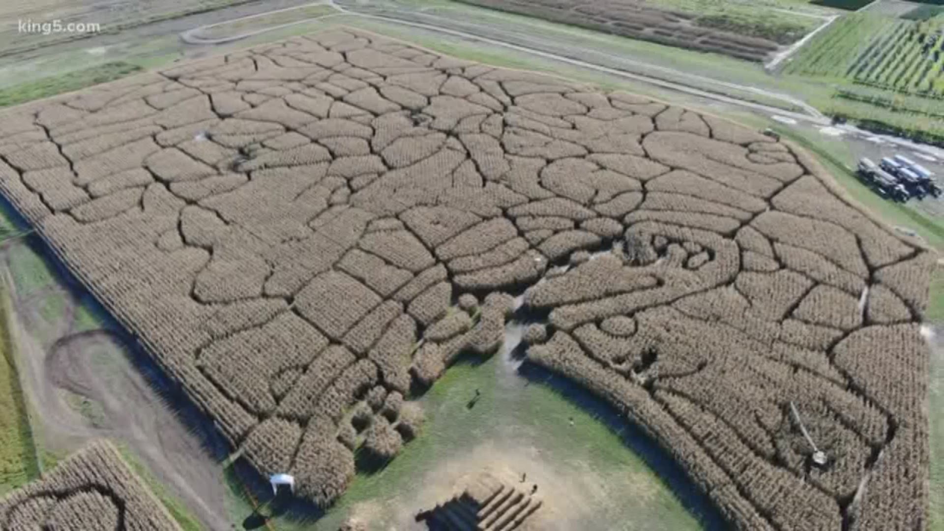 The Farm at Swan’s Trail is celebrating the fall season with a 12-acre, 4.5-mile corn maze that features the geography and iconic landmarks of Washington state.