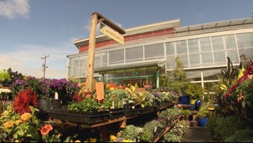 These West Seattle Spots Are Worth A Drive Over The Bridge These West Seattle Spots Are Worth A Drive Over The Bridge