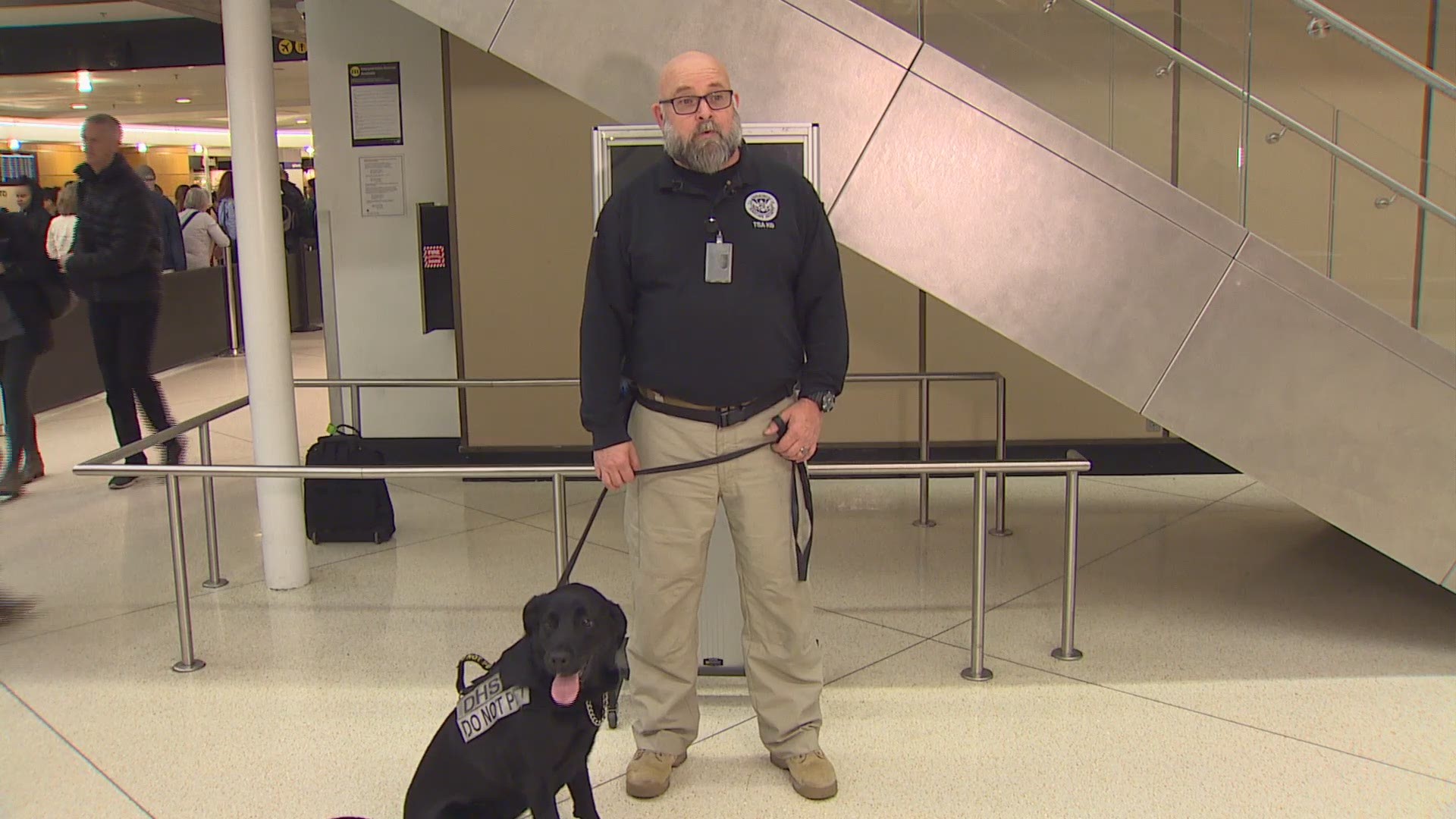 On Wednesday, Bela the explosive detection canine retired from Sea-Tac Airport. Her handler says she can expect to be pampered in retirement.
