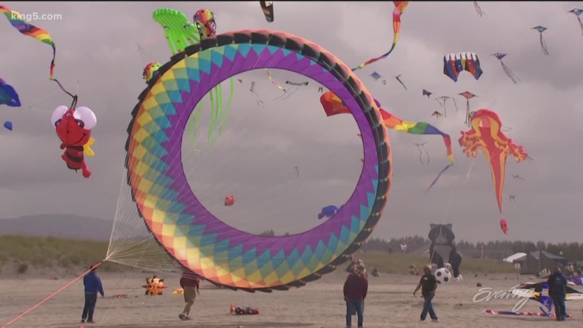 The 38th annual Washington State International Kite Festival was held this past weekend in Long Beach. The festival brings in kites and kite lovers from all across the globe.