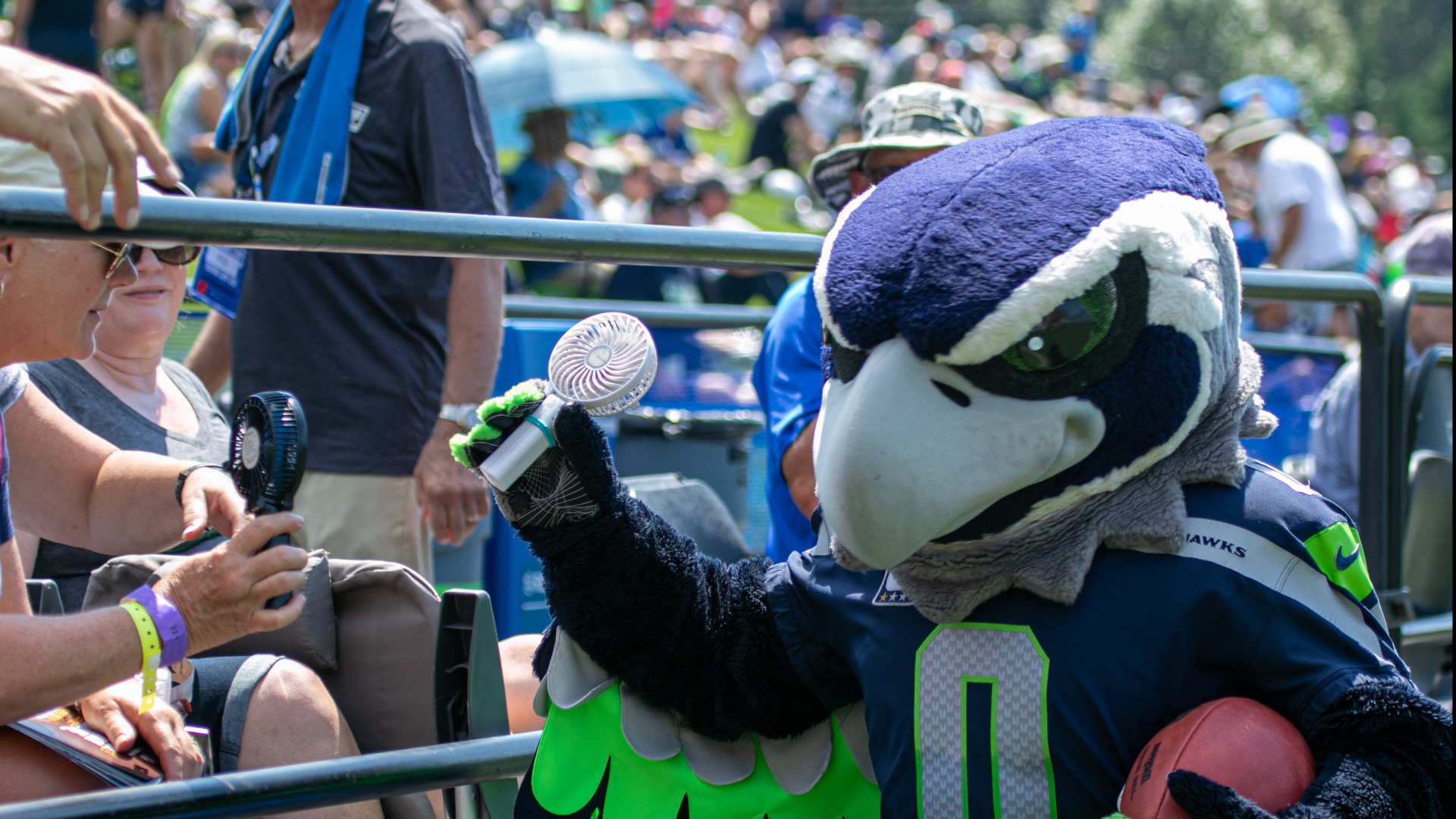 Your 6-9 Seahawks Have Started Selling Tickets for a Home Playoff Game