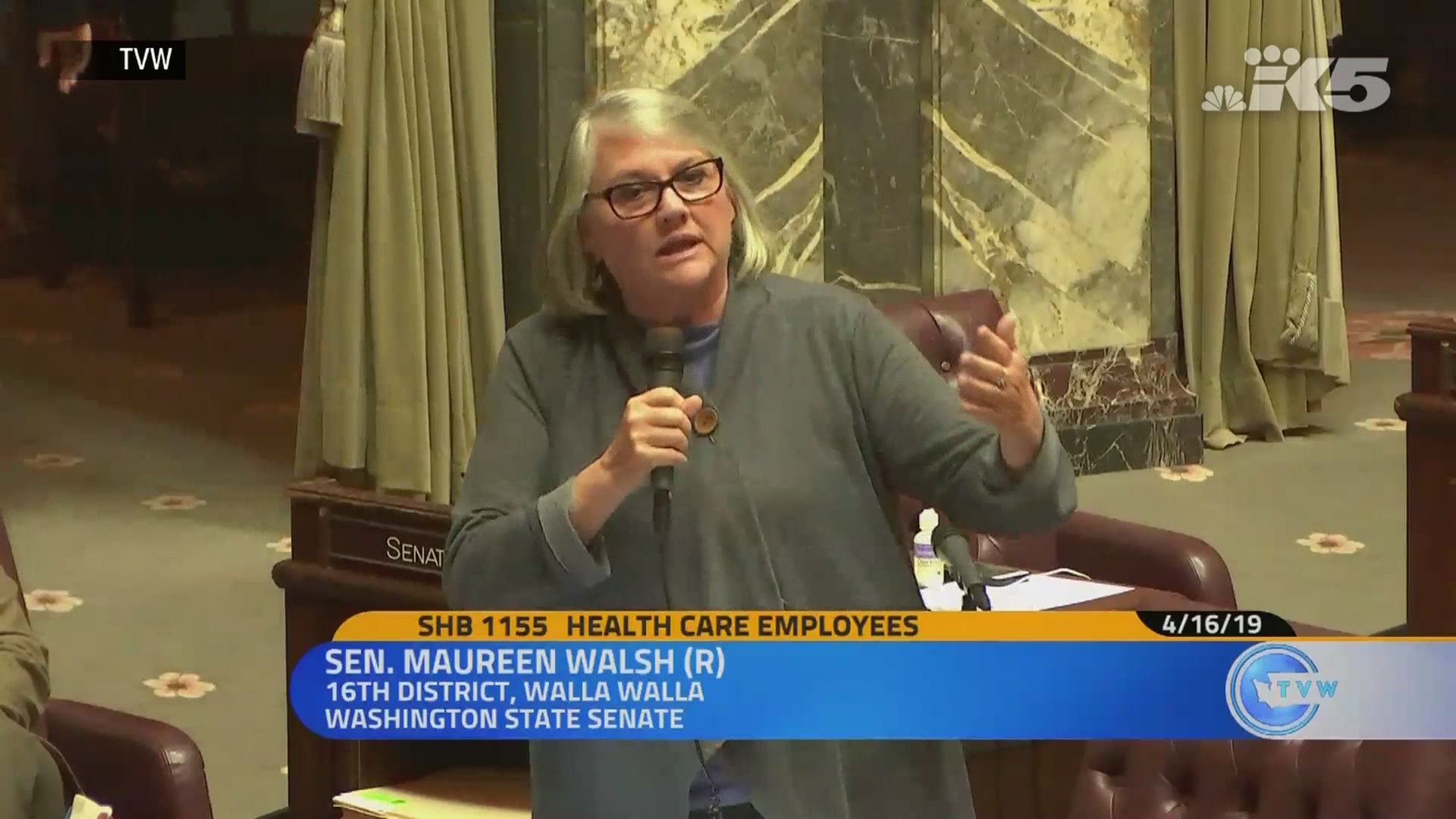 More than 600,000 people have signed an online petition calling for Washington state Senator Maureen Walsh to shadow a nurse for a day after comments she made on the Senate floor last week.