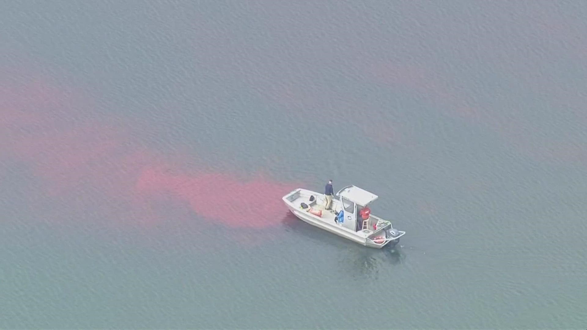 The DOH is observing the movement of water from a reconstructed clean water facility to monitor the impact on nearby shellfish harvesting operations.