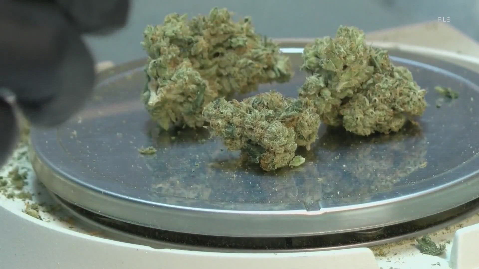king5.com - US Department of Justice proposes marijuana reclassification, potential shift in federal stance