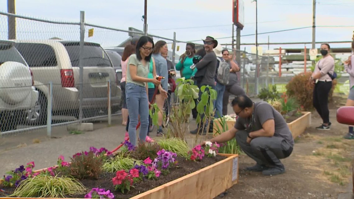 Neighborhood garden hopes to deter future encampments near Aurora Avenue - Vimarsana News