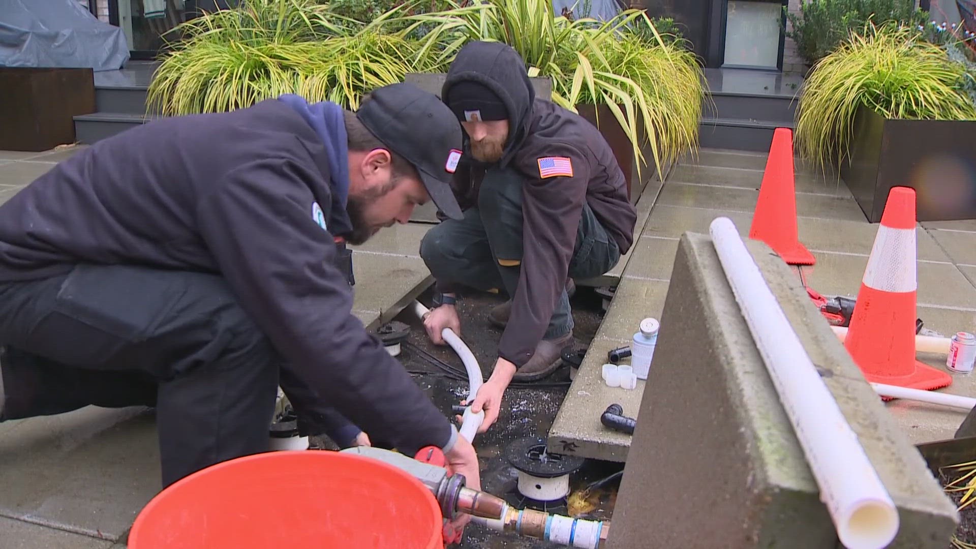 Both customers and plumbing companies are struggling to keep up with the demand as frigid weather leads to hundreds of burst pipes in the Seattle area.