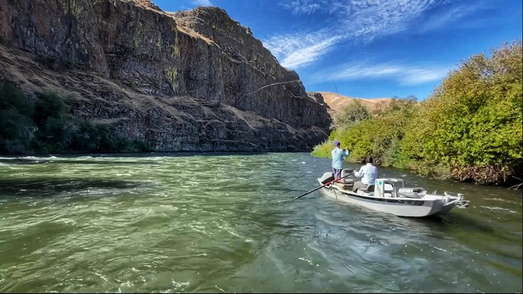 The Yakima River offers some of the best fly fishing in the country