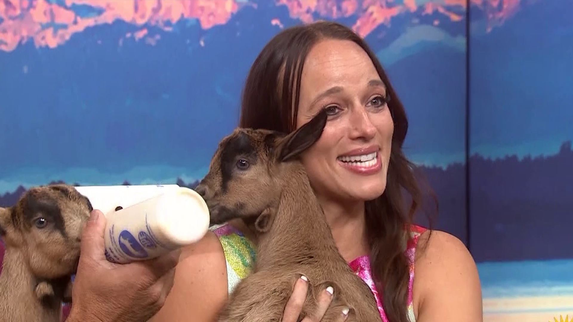 Farmer Nate Krause of Swans Trail Farms gives us an adorable preview of the Baby Animals and Berries Festival, which kicks off June 14th in Snohomish. #newdaynw