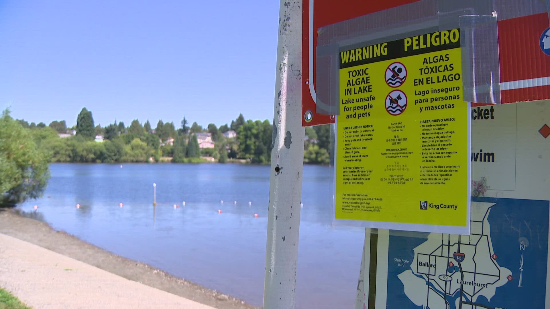 Toxic algae was detected in Green Lake. The lake is closed to swimming.