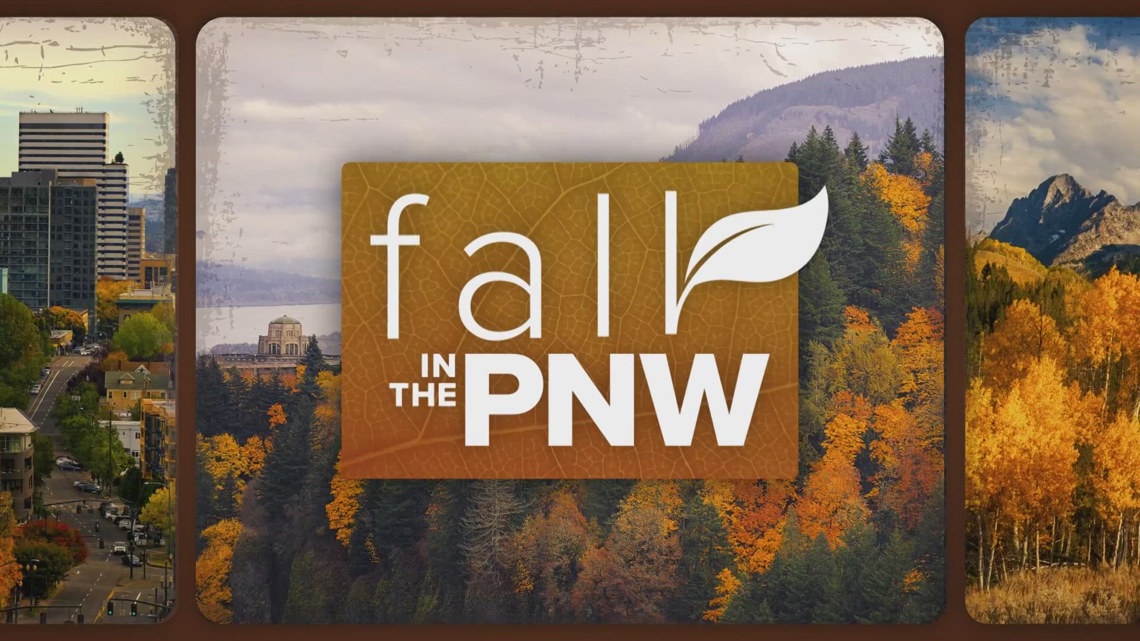 Why fall allergy symptoms seem more widespread