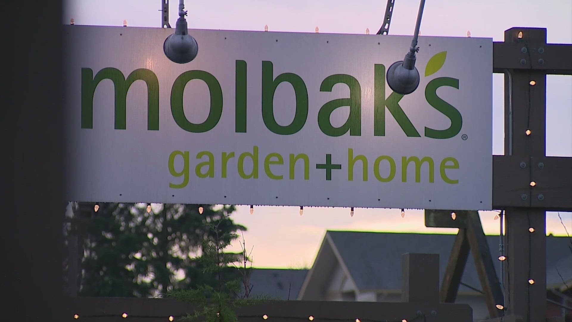 Molbak's said there weren't any financially viable options that would allow the garden store to continue operating in the way it wanted.