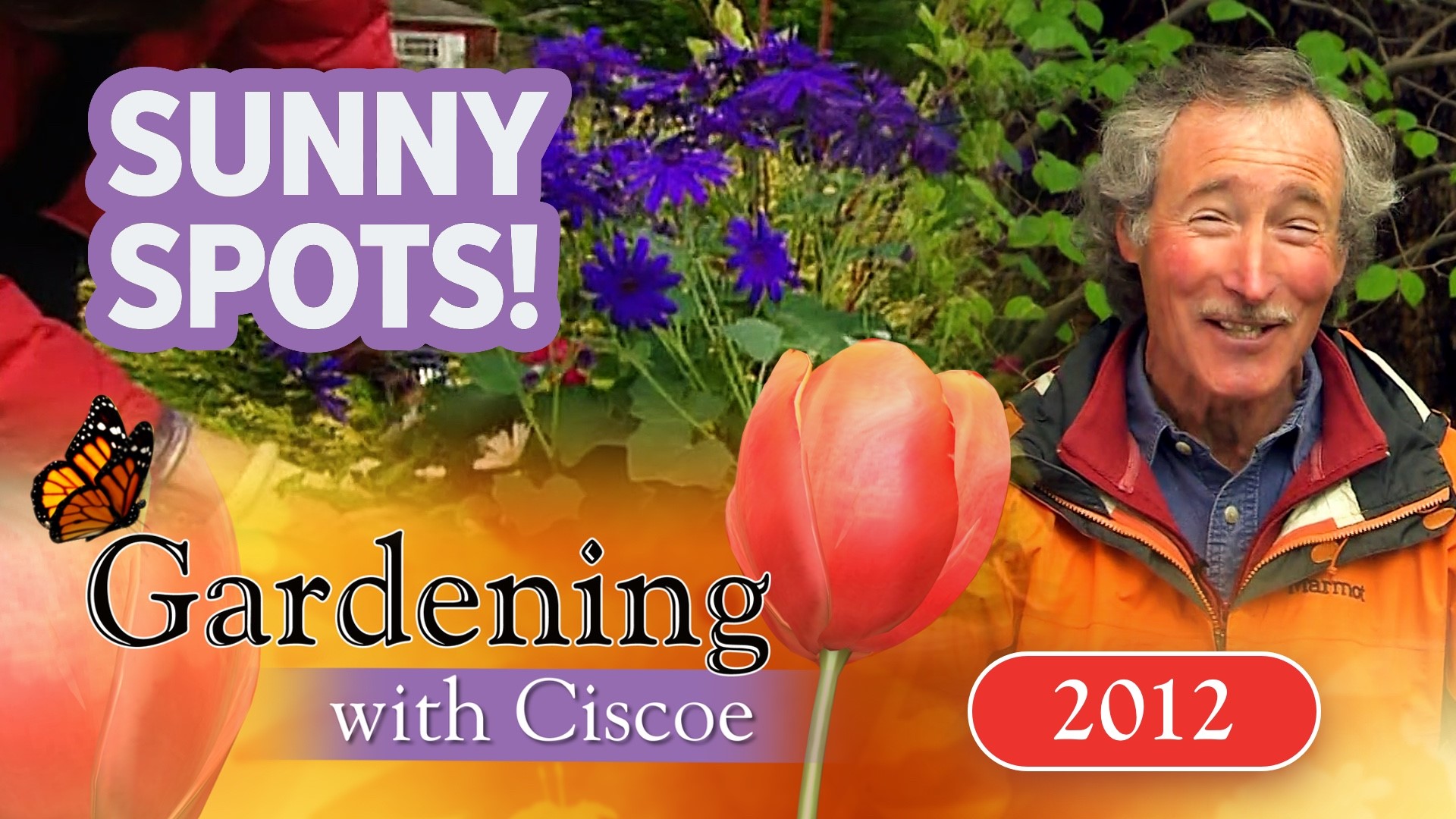 First aired 2012. Ciscoe & Meeghan build a container for the sunny spot in your garden. Chef makes a grilled mushroom salad. From Lakewold Gardens in Lakewood.