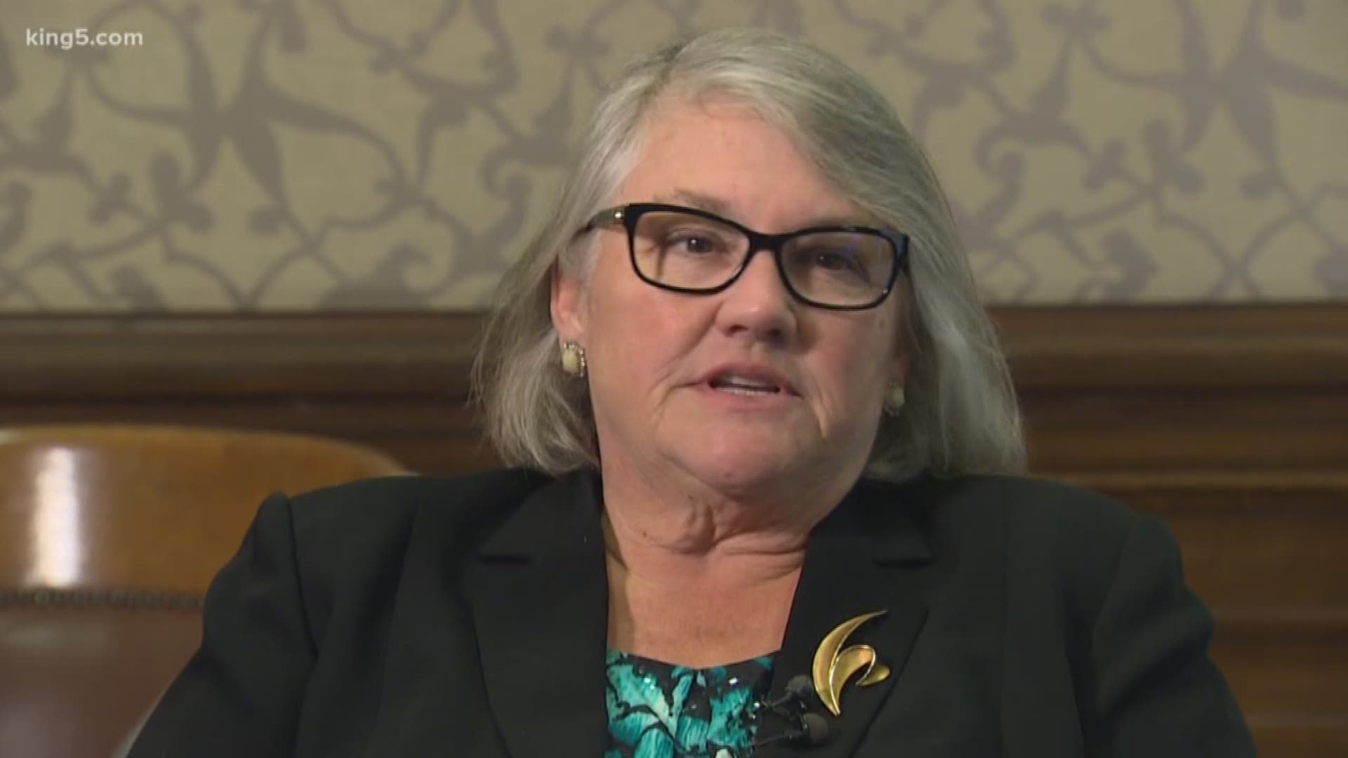 Senator Maureen Walsh agreed to shadow a nurse after more than 635,000 people signed an online petition in response to comments she made on the Senate floor last week. KING 5's Drew Mikkelsen reports.