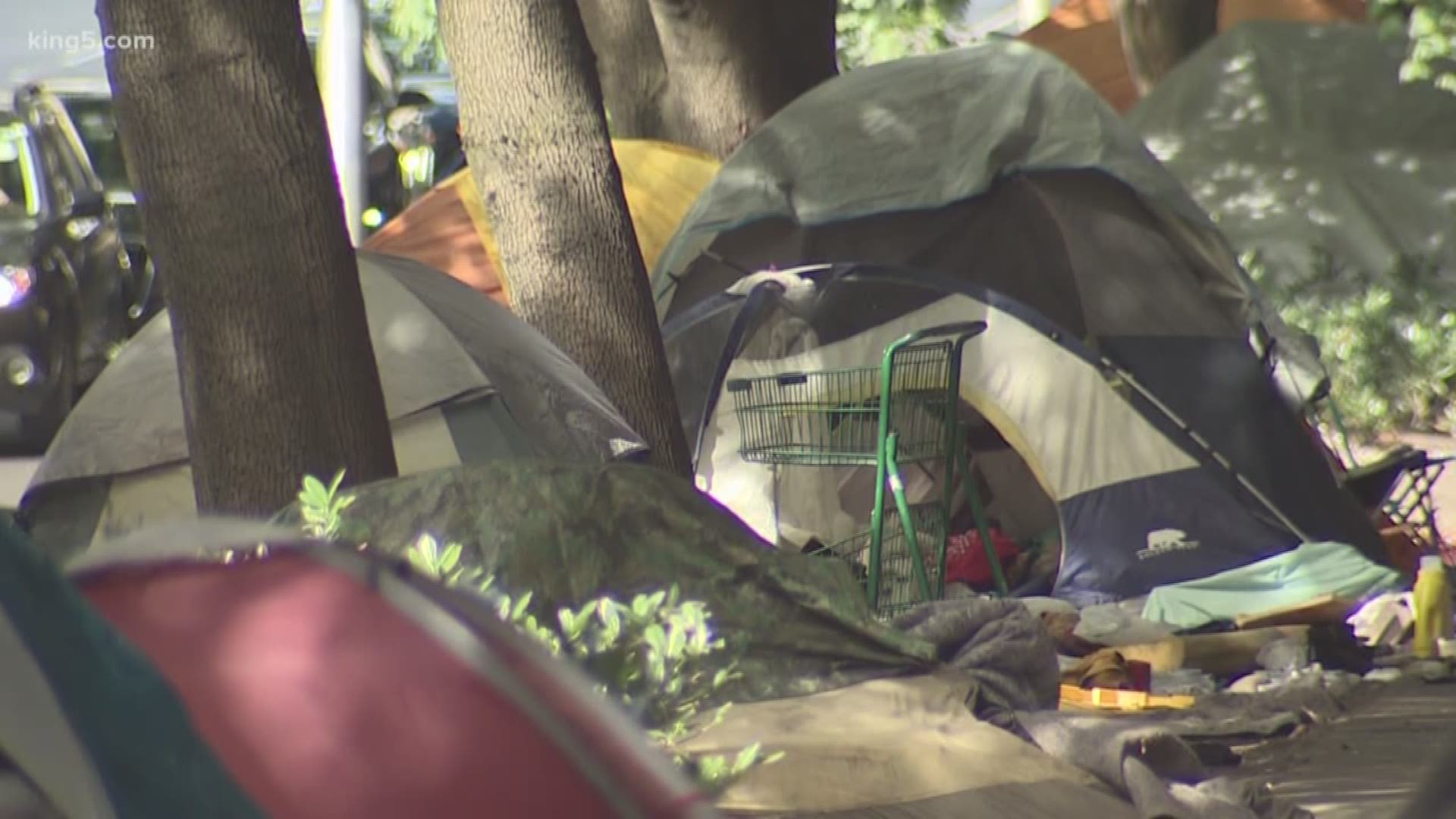 There are fewer people experiencing homelessness in King County now than there were a year ago, according to the latest data.