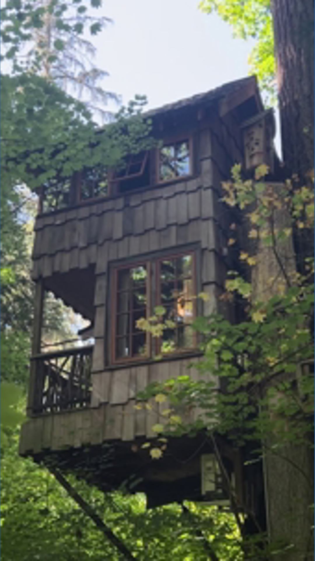 This Fall City TreeHouse escape has roots in the community | king5.com