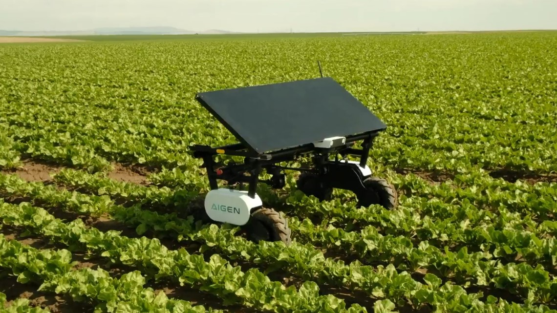 This Eastside company wants to save the planet through farming