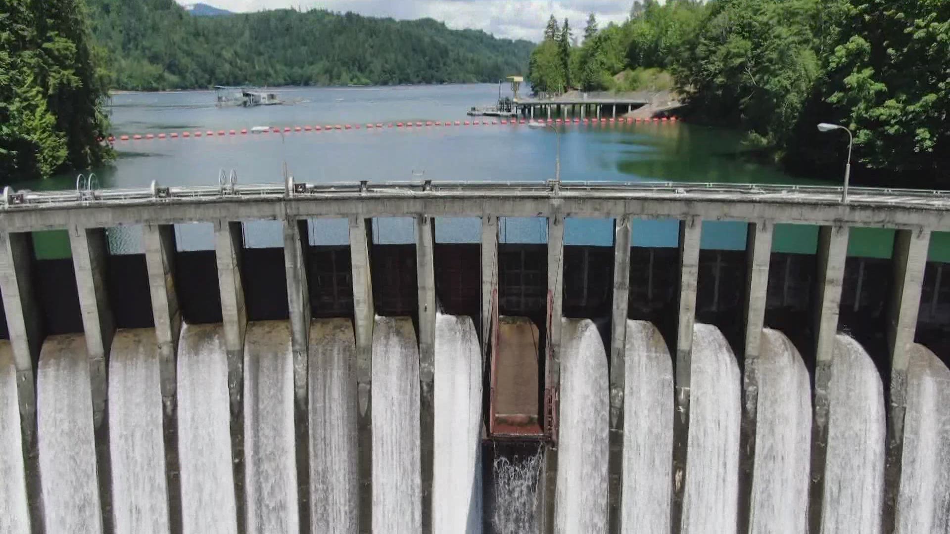 Stakeholders say Seattle City Light could learn from another utility, Puget Sound Energy, on how to better admit impacts for their dams and find solutions.