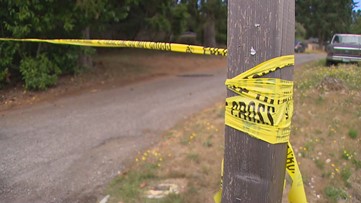 Suspect in Marysville, Edmonds homicides arrested after pursuit