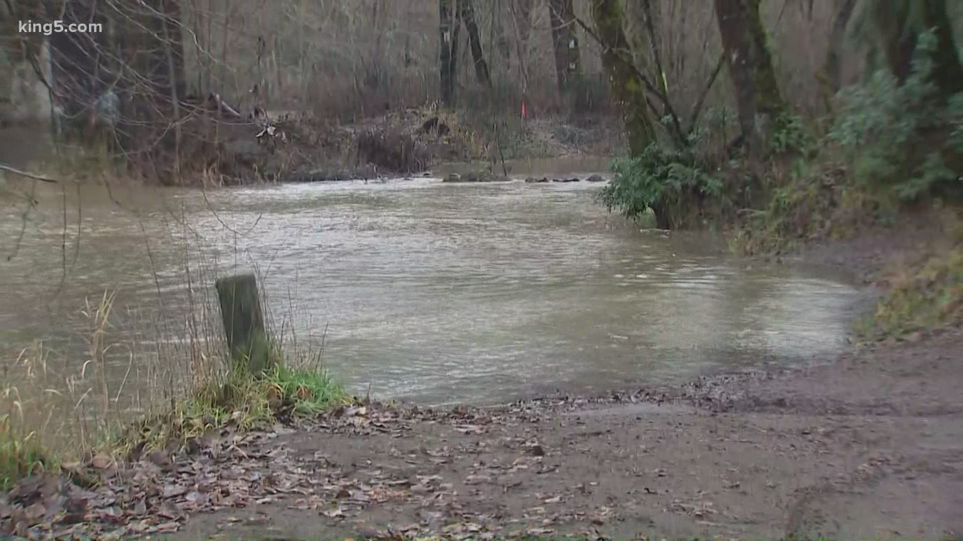 The Green, Nisqually, Tolt and White rivers could hit a minor flood stage this week after days of heavy rain.