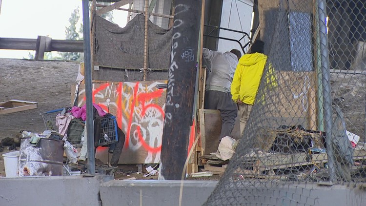 Seattle homeless encampment under Ship Canal Bridge has some neighbors concerned
