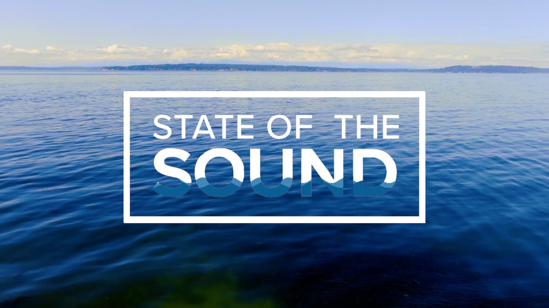 A look at the work being done to protect the ecosystem of Puget Sound, the nation's second largest marine estuary.