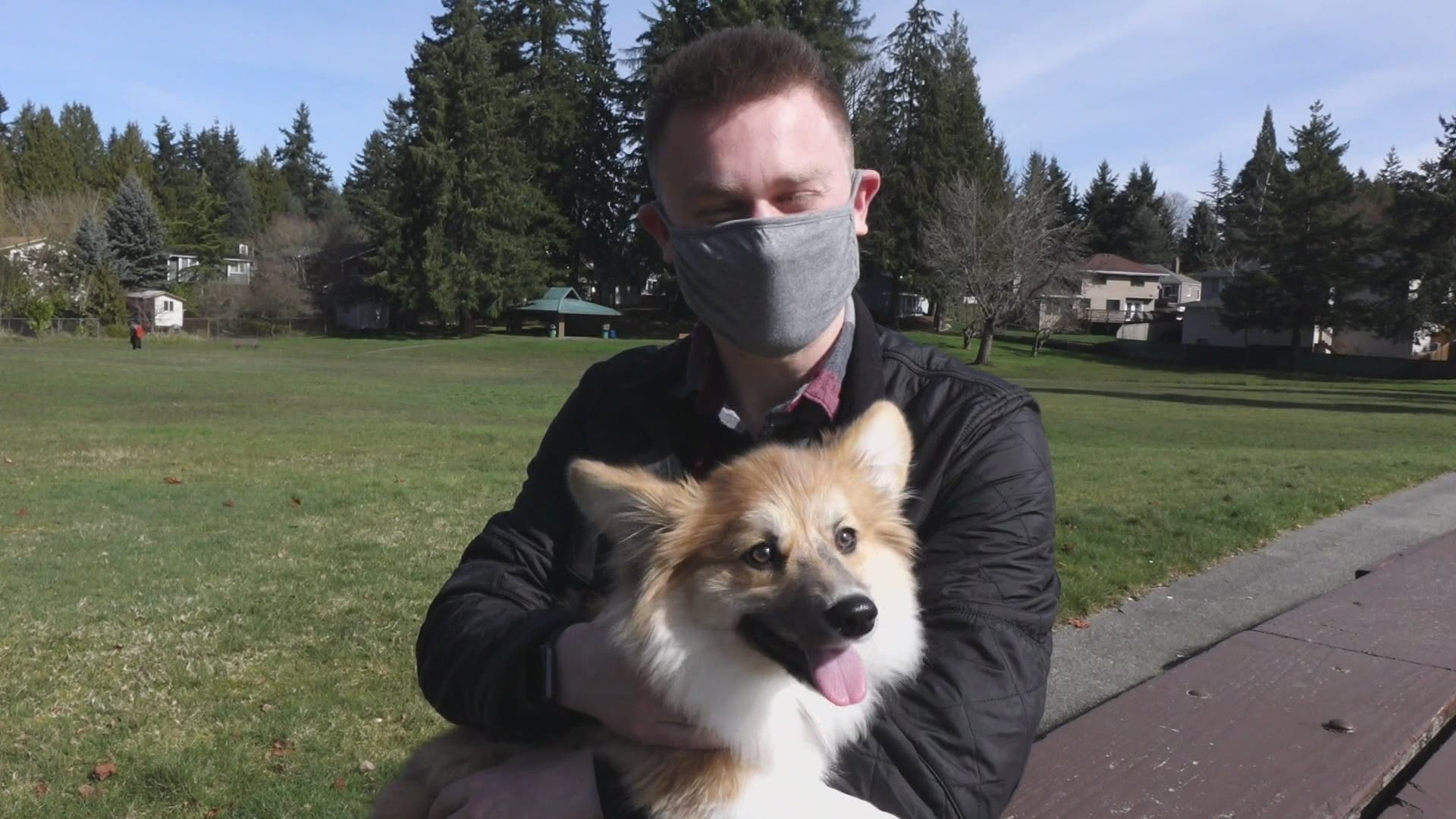 Ellie the Fluffy Corgi from Lynnwood is in the running to win America's Favorite Pet race.