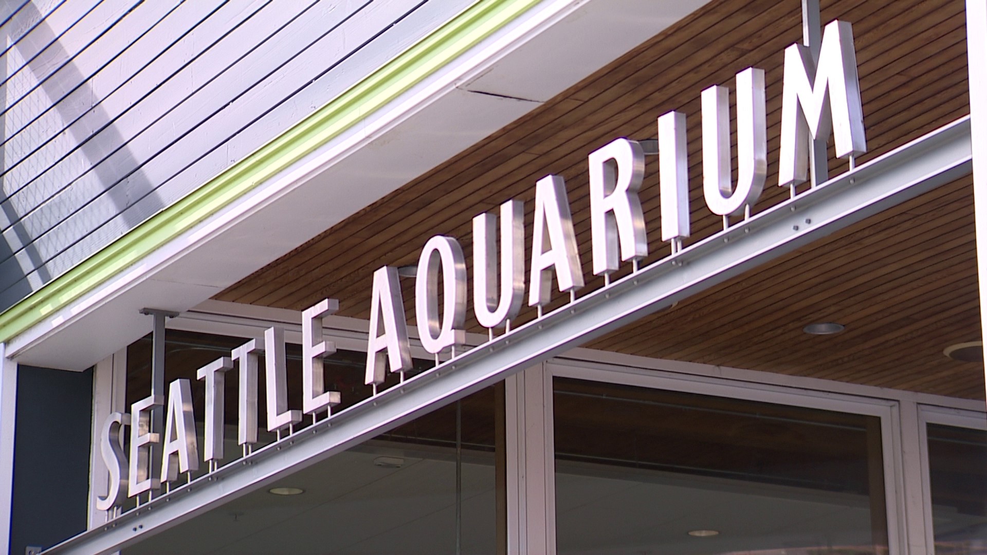 The aquarium said it is one of many organizations targeted by scammers nationwide.