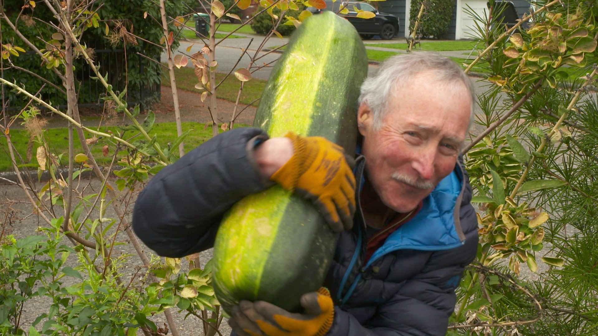 Do these tasks now and your plants will thank you come spring. #k5evening