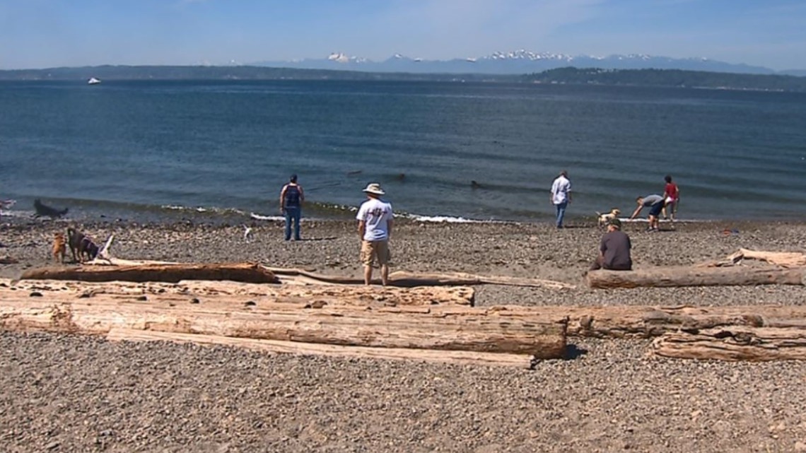 is alki beach dog friendly