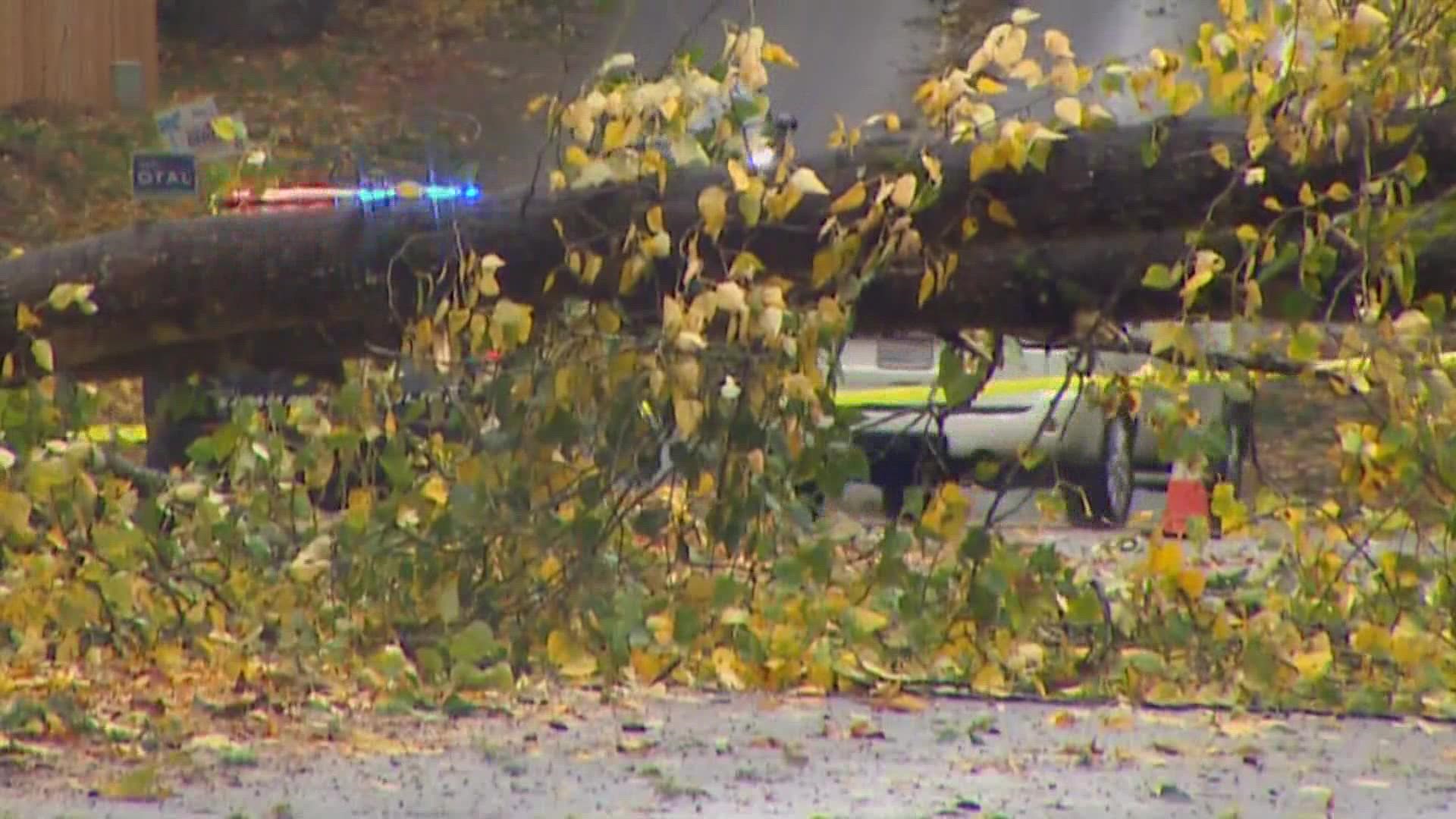 Fallen trees and power outages lead to traffic detours and school closures around western Washington