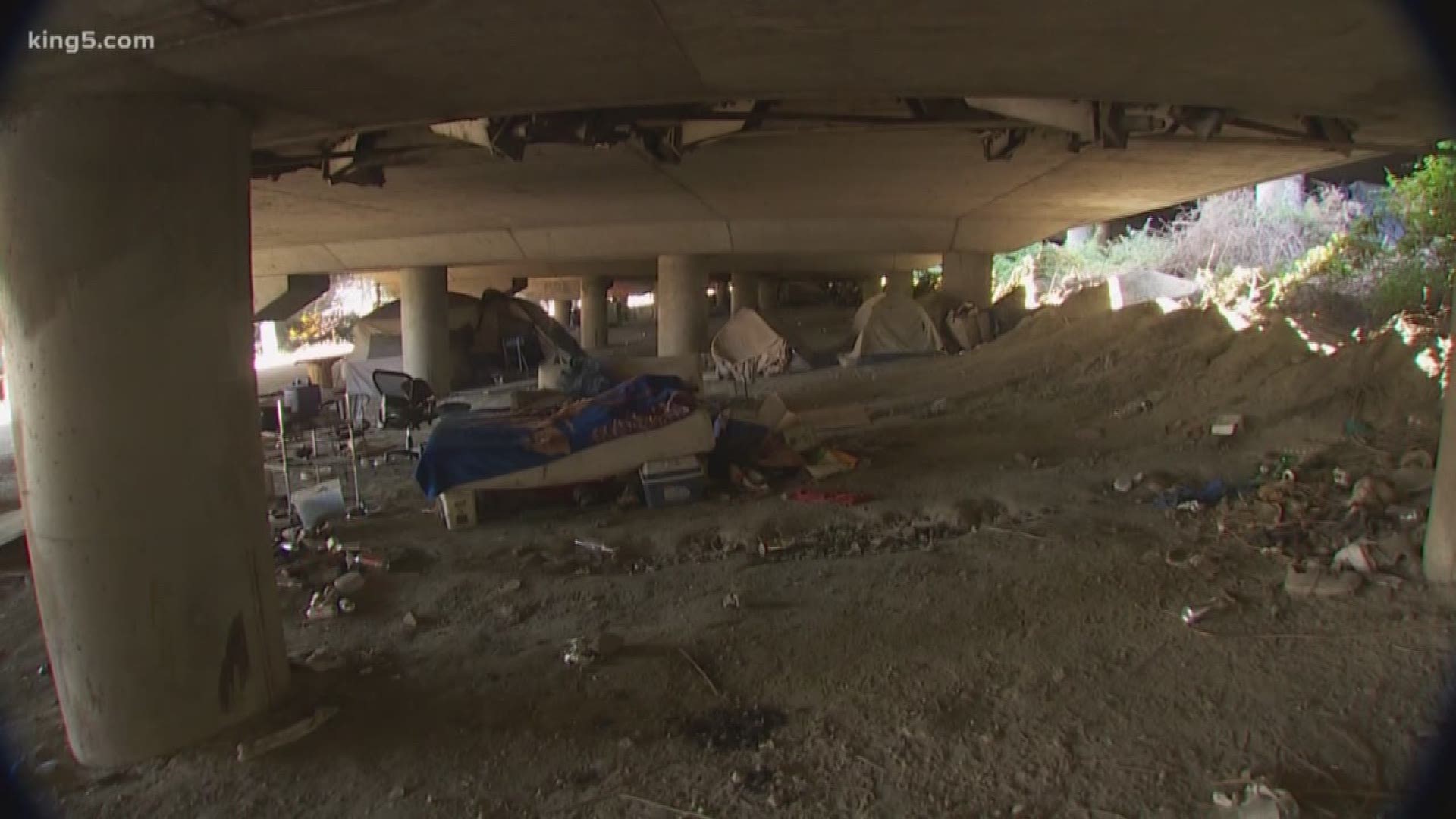 The Seattle City Council will consider a measure to eliminate city-funded navigation teams that clean up unsanctioned homeless encampments in the city.