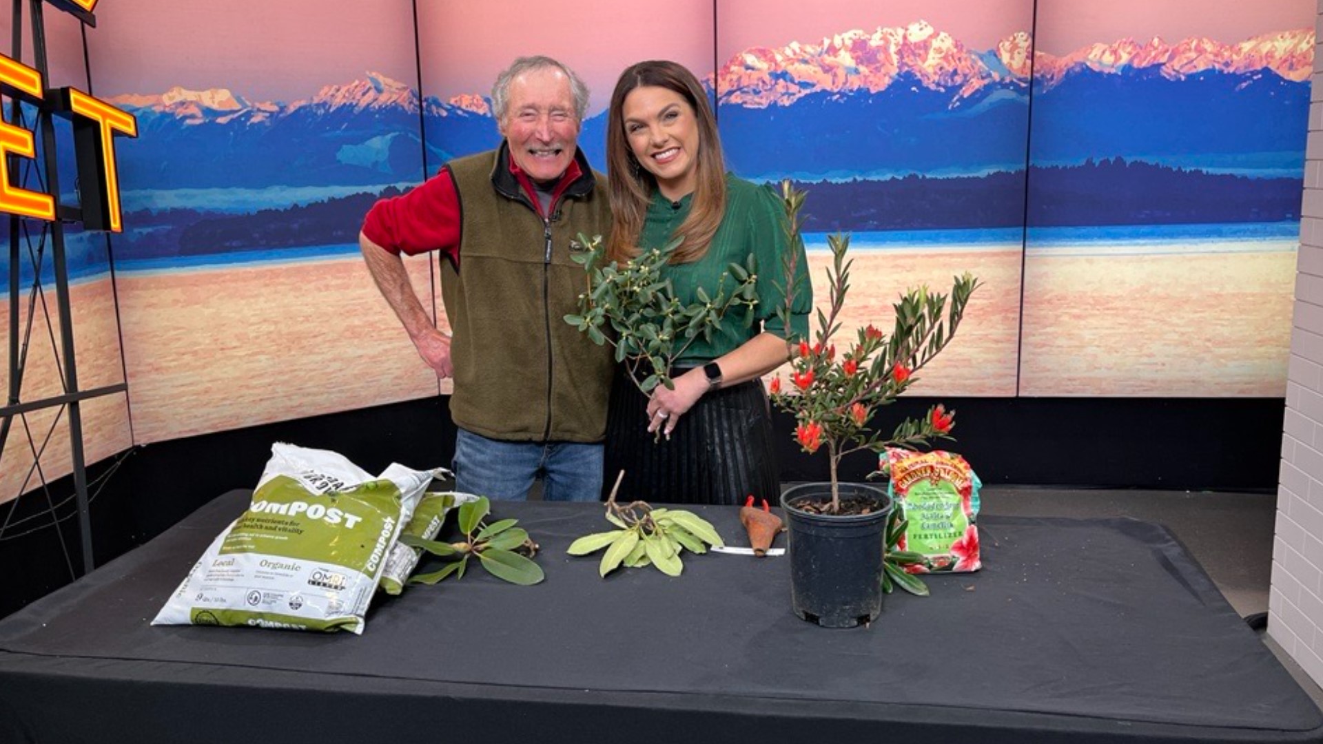 Gardener Ciscoe Morris shares how to prune and feed for max blooms. #newdaynw