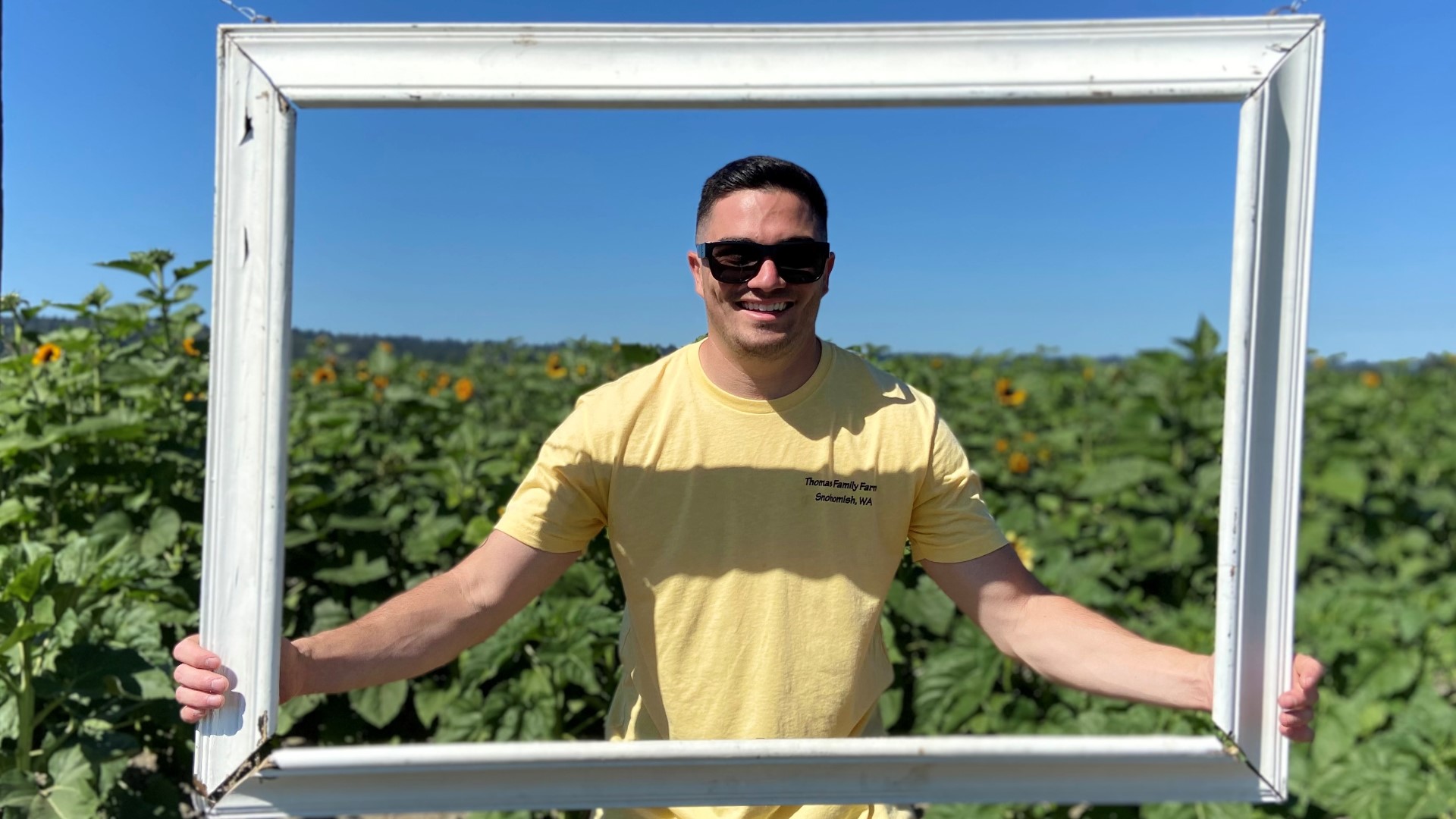 Upick sunflowers and photo ops at annual festival in Snohomish