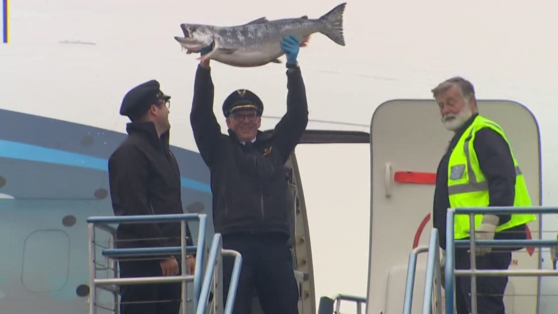Copper River Salmon has officially made its way to Seattle. KING 5's Sebastian Robertson shows us the Northwest tradition, unlike any other.