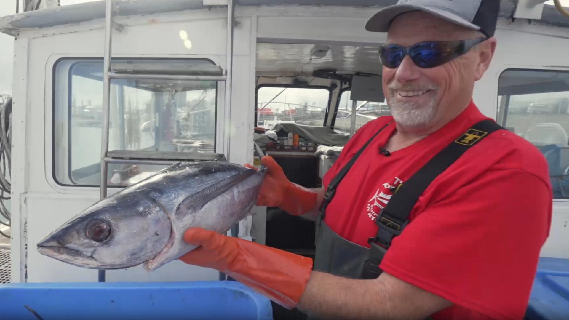 Find salmon, tuna, Dungeness crab and more from the docks to your table with this innovative program. Sponsored by Grays Harbor County.