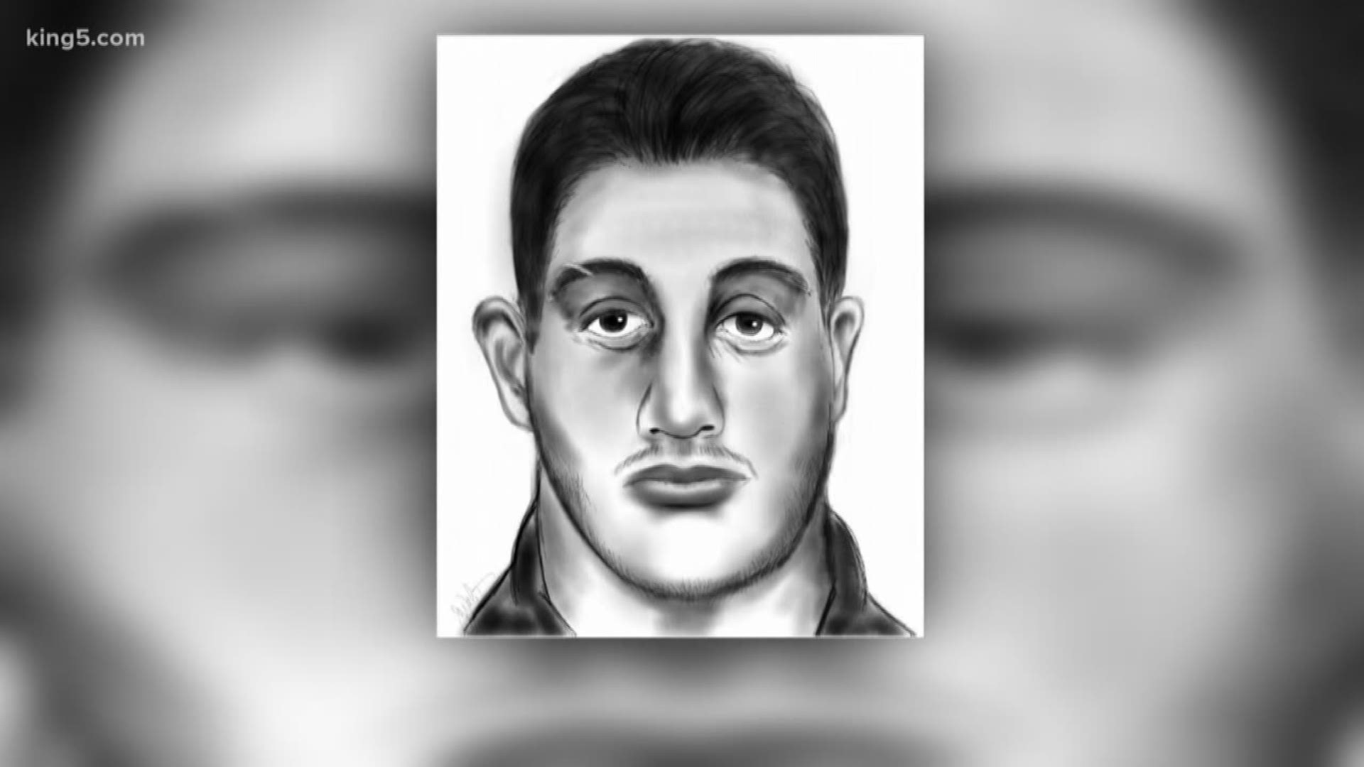 The King County Sheriff’s Office released a sketch of a man suspected of sexually assaulting a 15-year-old girl in Kent.