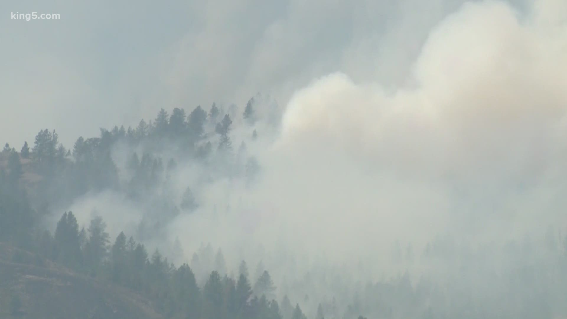 Burn ban issued for all 12 million acres of Washington state's DNR land