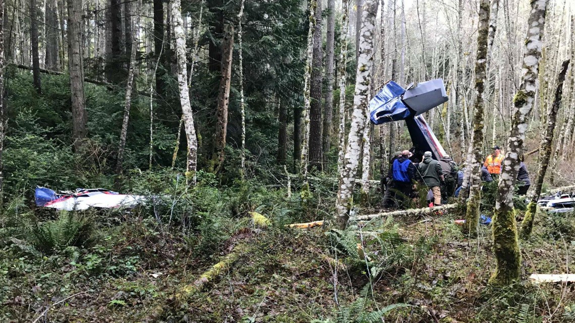 Man killed in Whidbey Island plane crash identified | king5.com