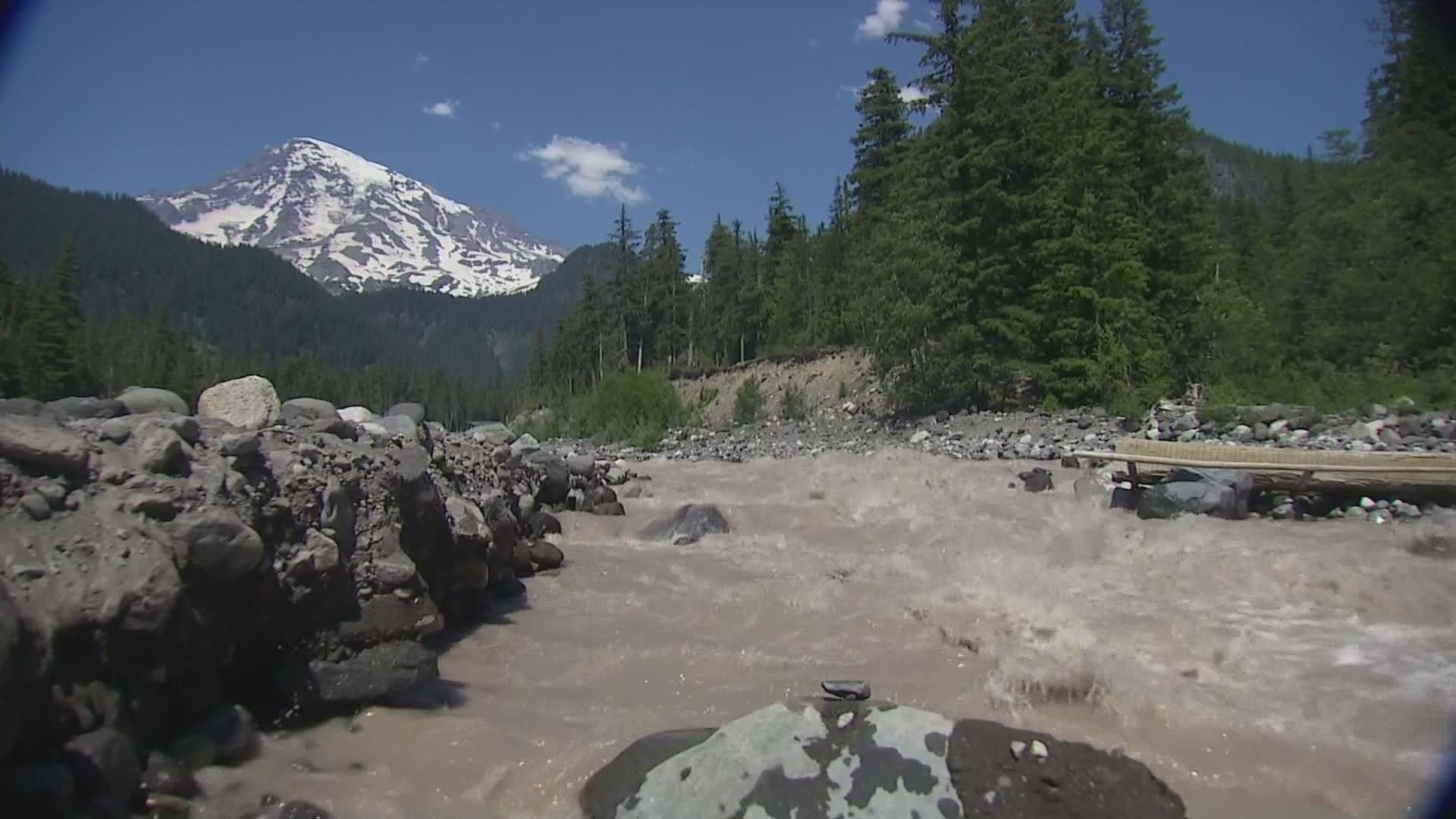 As COVID-19 restrictions lift across the country, Mount Rainier National Park staff said they are on track to potentially see their busiest year in decades.