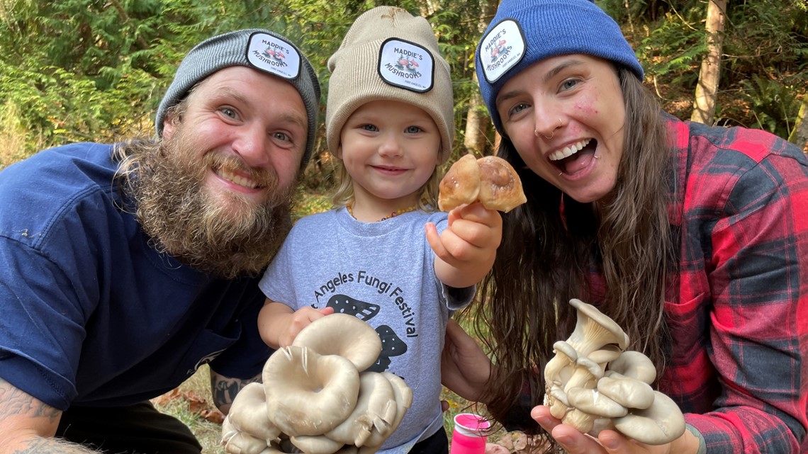 Olympic Peninsula mushroom grower launches firstever Fungi Festival
