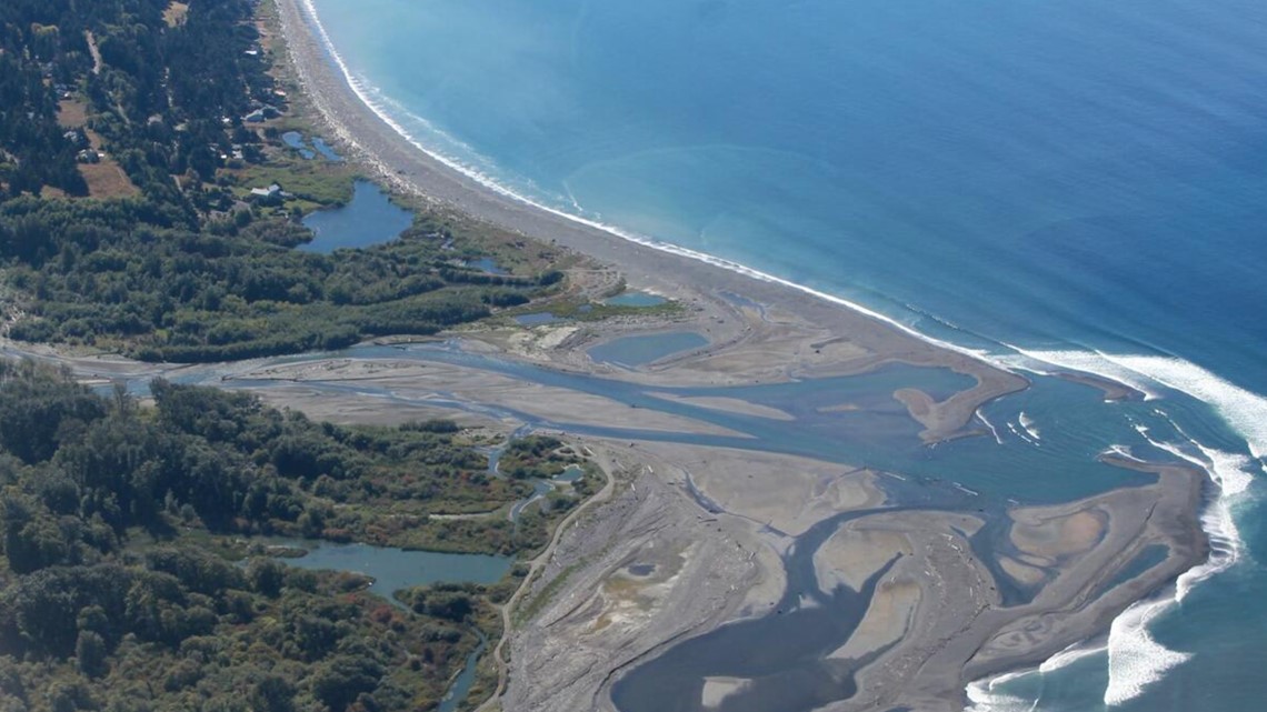 Why do feet inside shoes wash up on Salish Sea coastlines? | king5.com