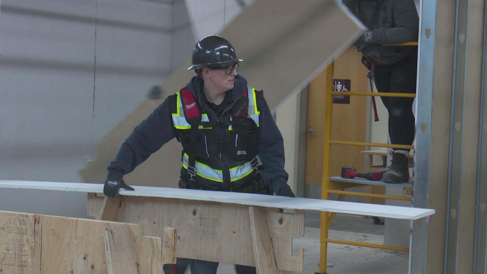 Carpenter at Work