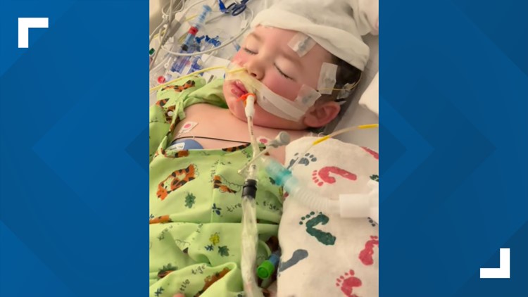'Thank you lord': 2-year-old recovering after found ‘cold to the touch’ in Arlington pond