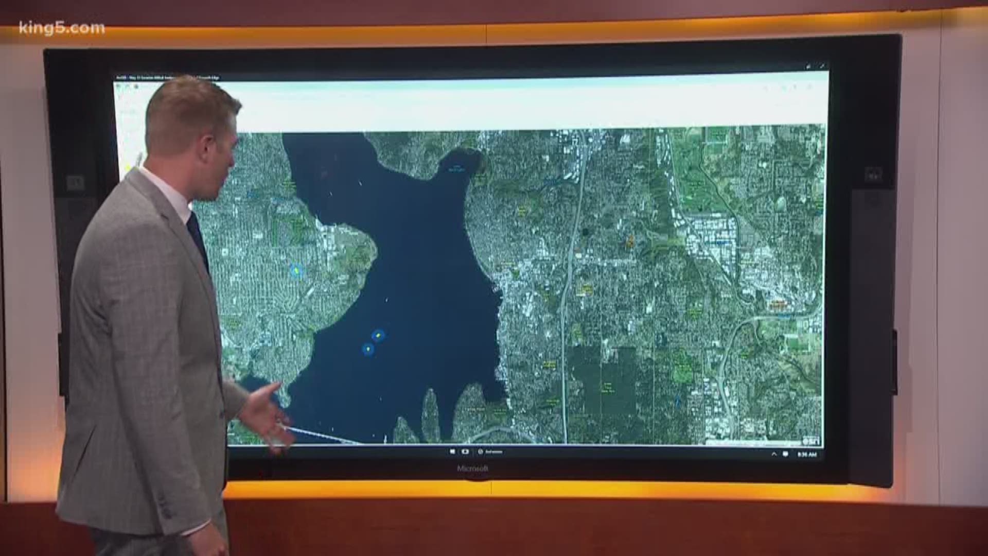 Lake Washington beaches closed for milfoil treatment