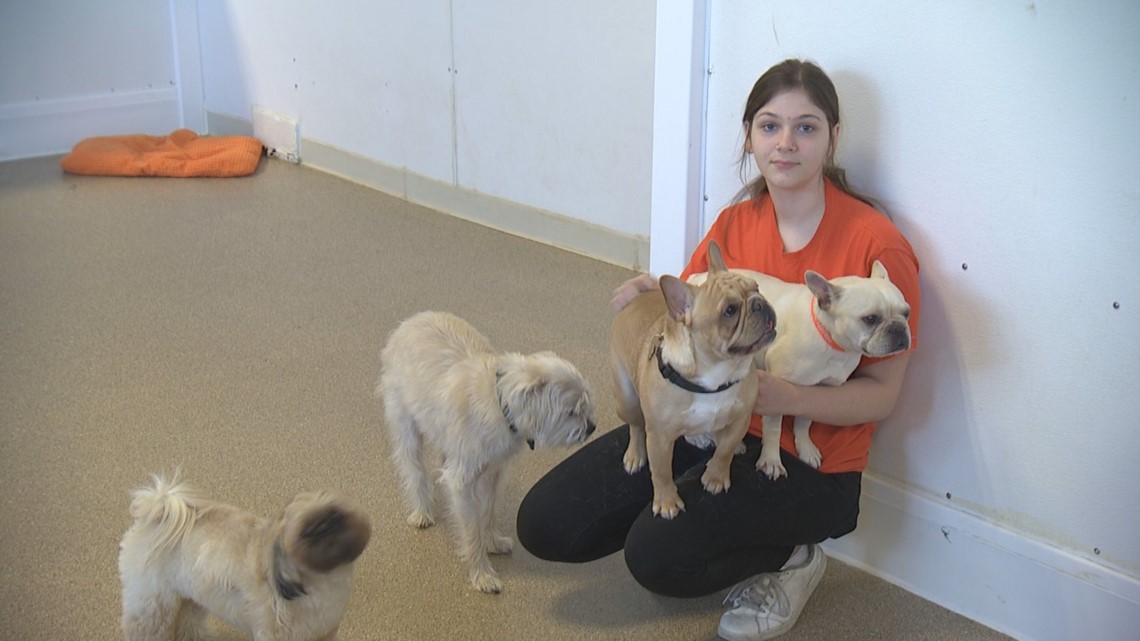 Dog daycares facing challenges during coronavirus outbreak