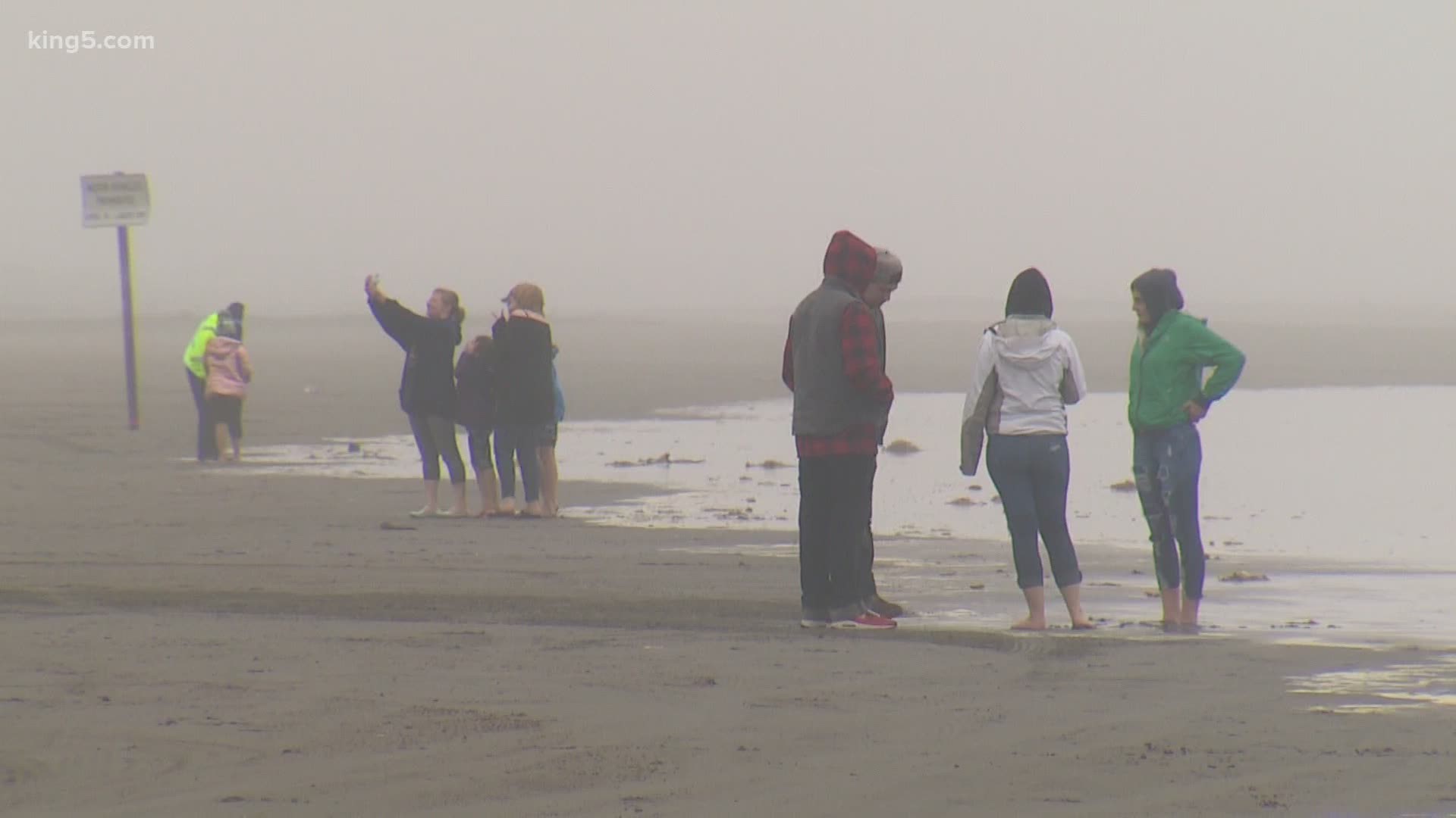 Ocean Shores visitor numbers appear to taper over holiday weekend   The  Daily World