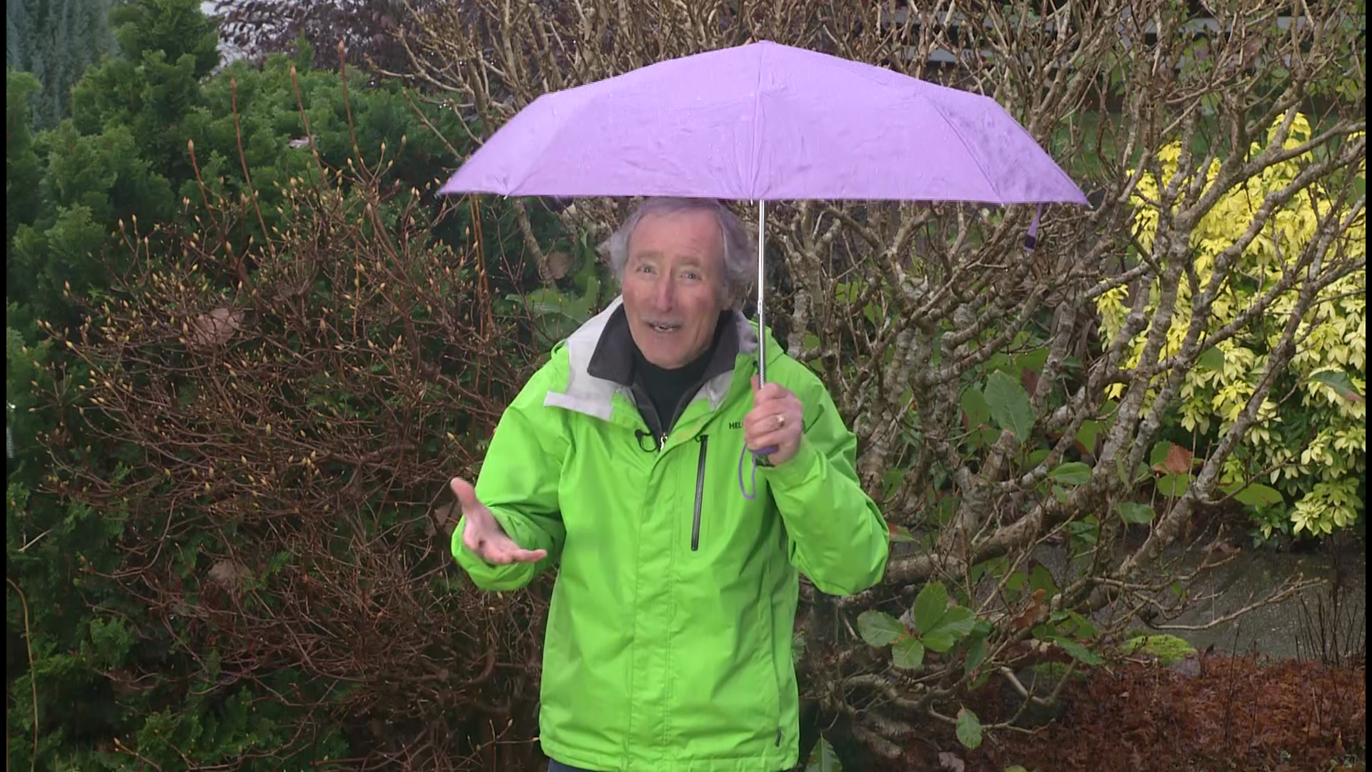Ciscoe Morris on protecting plants from snowy weather